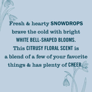 Snowdrop Plug In Scented Oil Warmer With Refill - Image 6