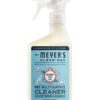 Coconut Leaf  Pet Multi-Surface Cleaner