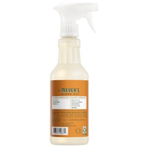 Alternative view of Sugar Pumpkin Multi-Surface Everyday Cleaner 3-count Bundle
