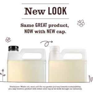 Rain Water Dish Soap Refill - Image 9