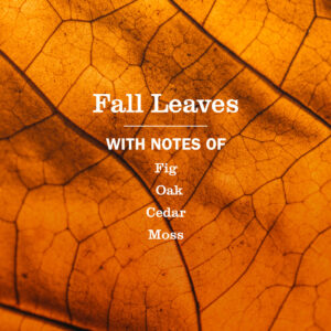Fall Leaves Plug In Scented Oil Warmer With Refill - Image 5