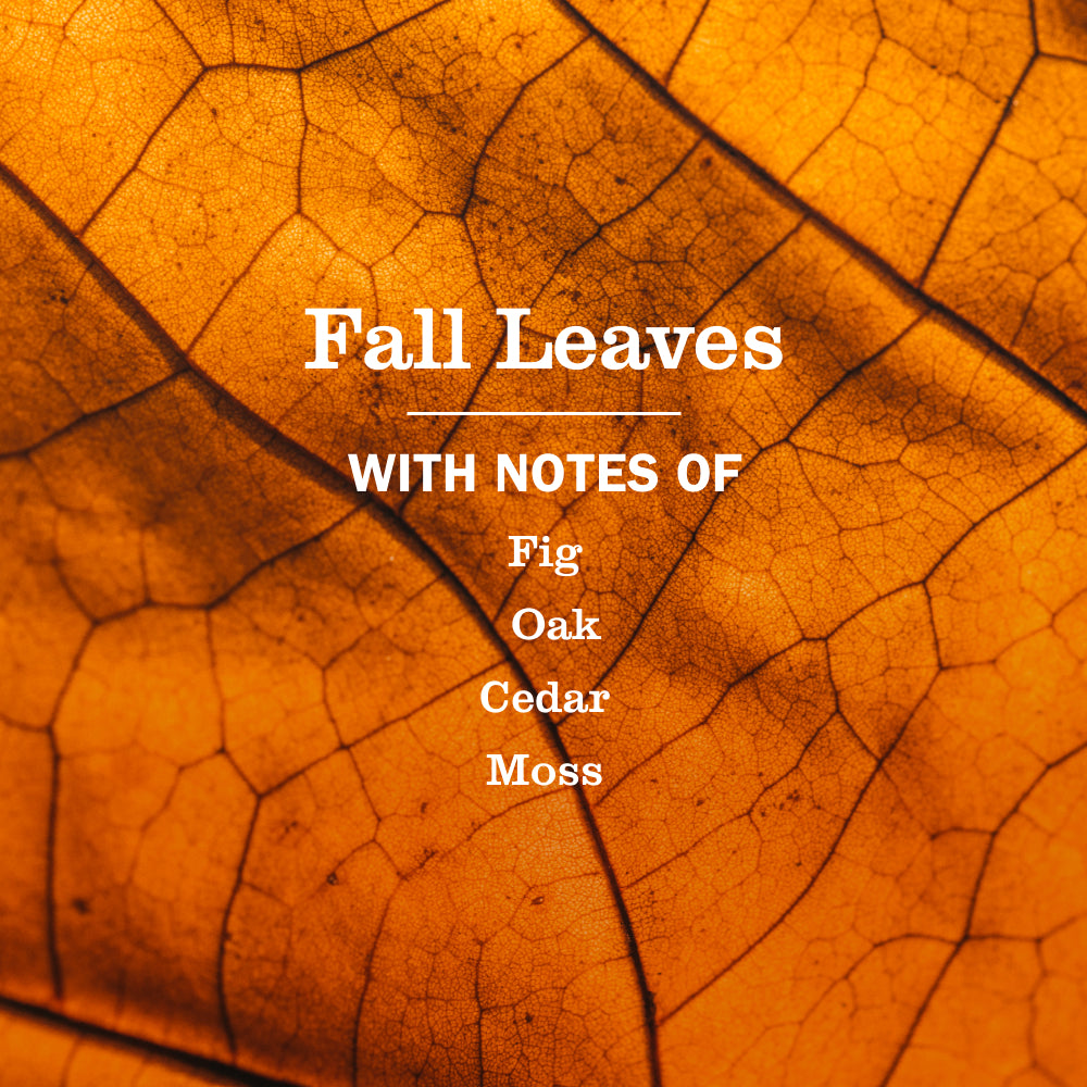 Fall Leaves Plug In Scented Oil Refill, 2-Pack - Image 4