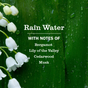 Rain Water Plug In Scented Oil Refill, 2-Pack - Image 5