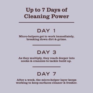 Lavender Probiotic Daily Shower Spray - Image 8