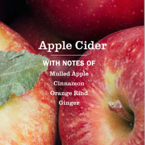 Apple Cider Dish Soap - Image 4