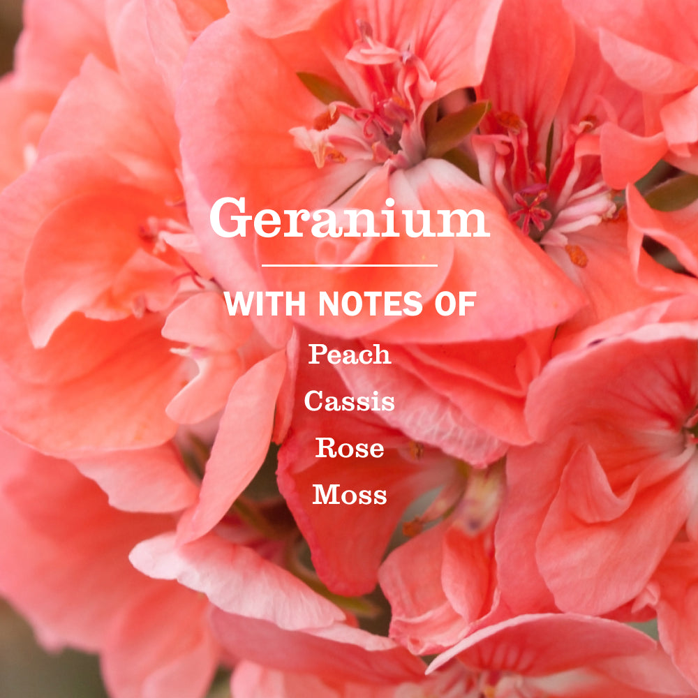 Geranium Liquid Hand Soap & Refill Set - Image 2