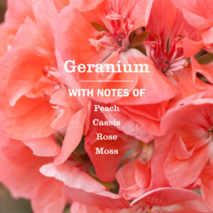 Geranium Liquid Hand Soap - Image 4
