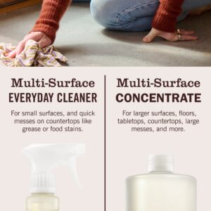 Peony Multi-Surface Concentrate - Image 8