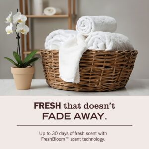 Basil Laundry Detergent - Image 6