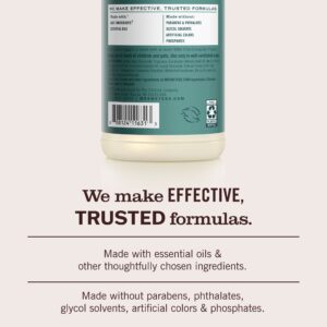 Eucalyptus Multi-Surface Everyday Cleaner - Image 6