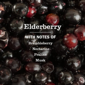 Elderberry Multi-Surface Everyday Cleaner - Image 4