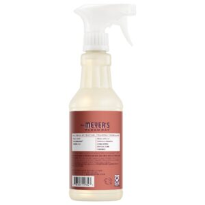 Alternative view of Fall Leaves Multi-Surface Everyday Cleaner