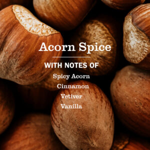 Acorn Spice Multi-Surface Everyday Cleaner - Image 4