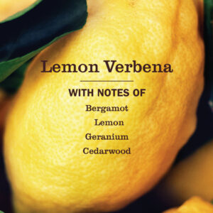 Lemon Verbena Baking Soda Cream Cleaner - 16 oz - Image 3