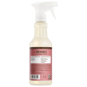 Alternative view of Rosemary Multi-Surface Everyday Cleaner