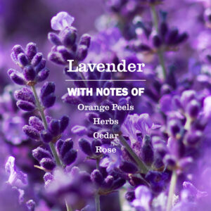 Lavender Glass Cleaner - Image 3