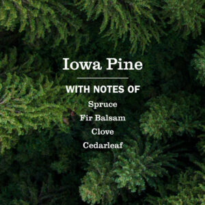 Iowa pine Kitchen Basics Set - Image 4
