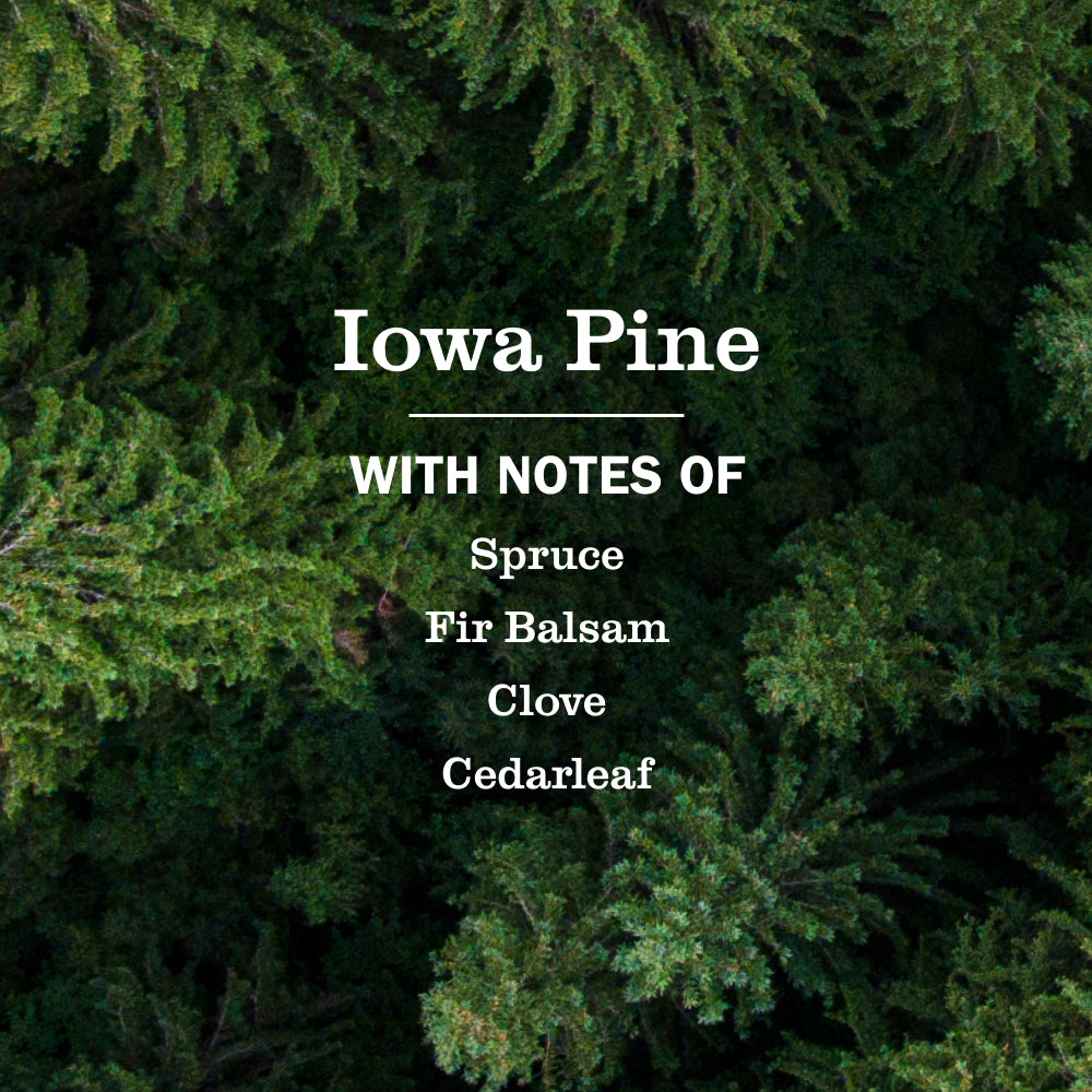 Iowa Pine Hand Lotion - Image 4