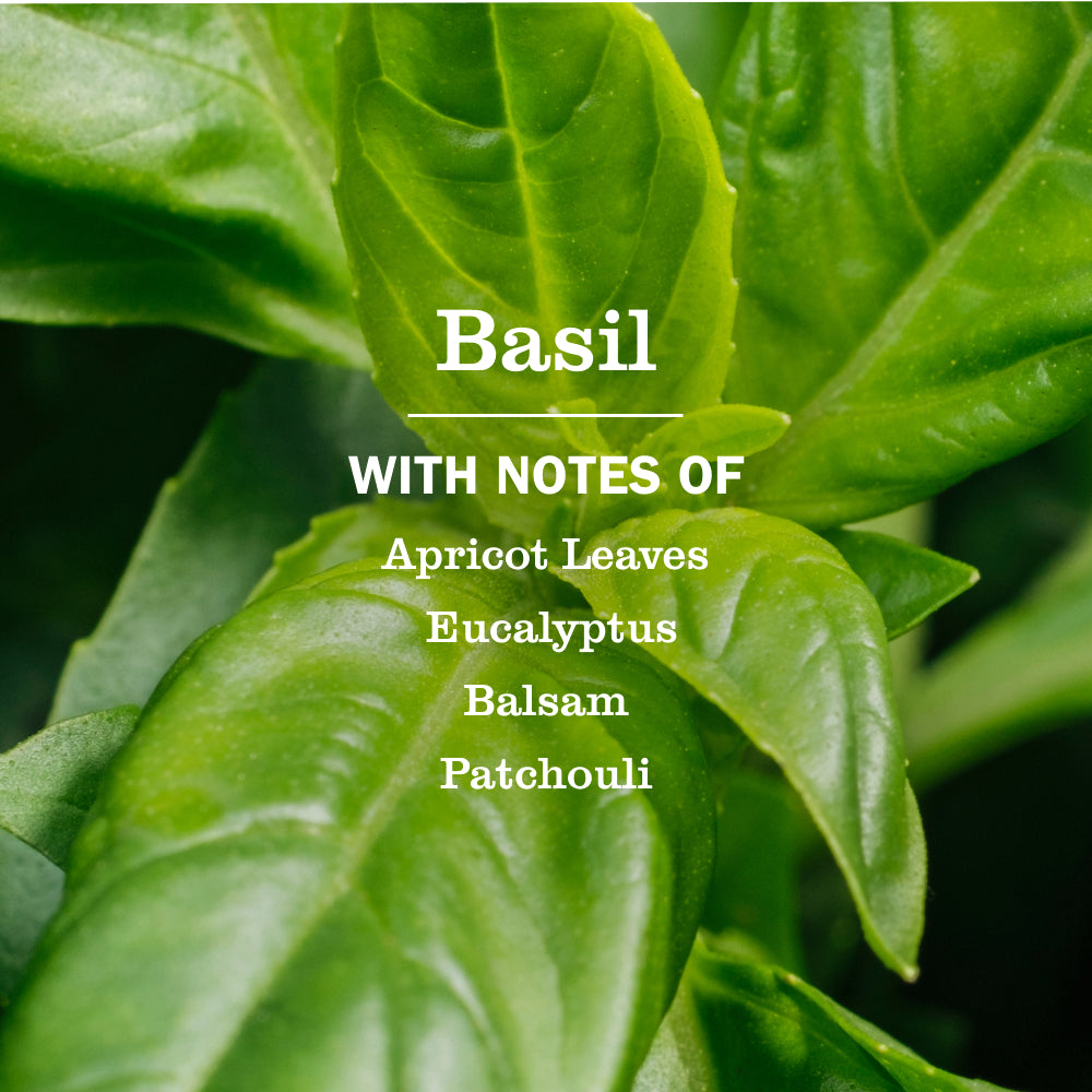 Basil Liquid Hand Soap - Image 4