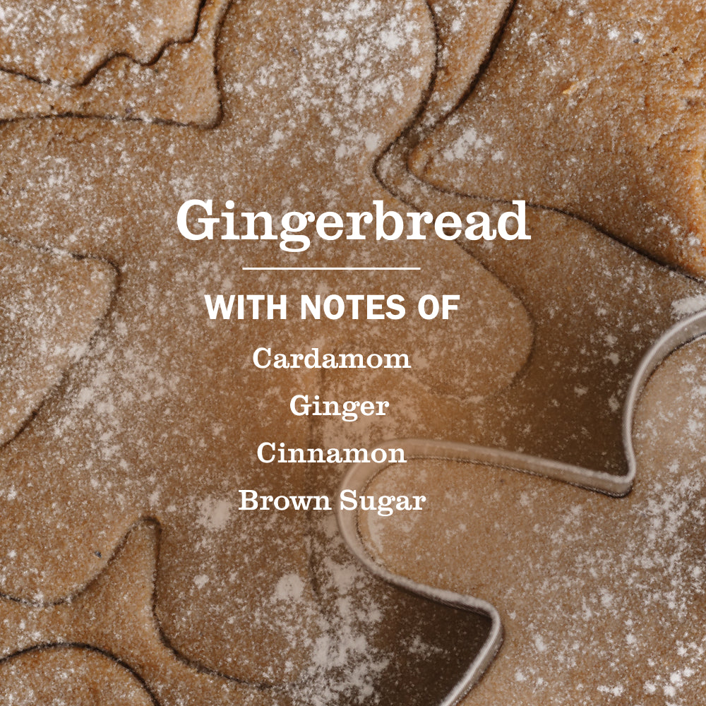Gingerbread Dish Soap 3-count Bundle - Image 4