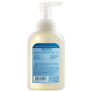 Rain Water Foaming Hand Soap - Image 2