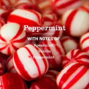 Peppermint Dish Soap - Image 4