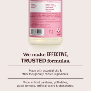 Peppermint Multi-Surface Everyday Cleaner - Image 6