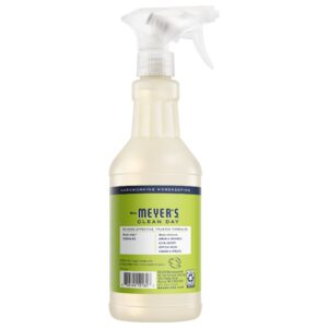 Alternative view of Lemon Verbena Glass Cleaner