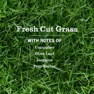 Fresh Cut Grass Liquid Hand Soap 3-count Bundle - Image 4