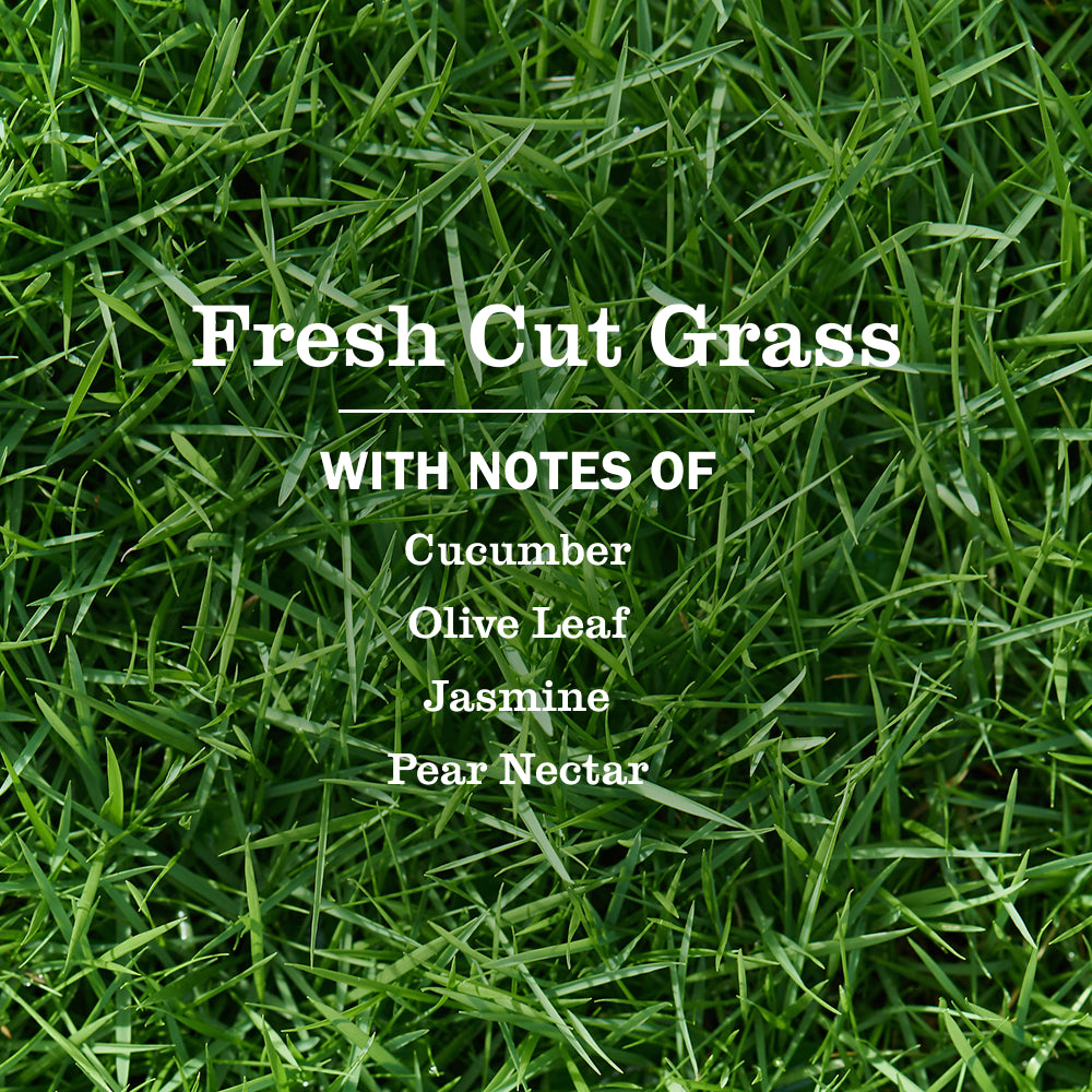 Fresh Cut Grass Liquid Hand Soap - Image 4