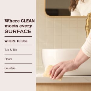 Basil Multi-Surface Concentrate - Image 5